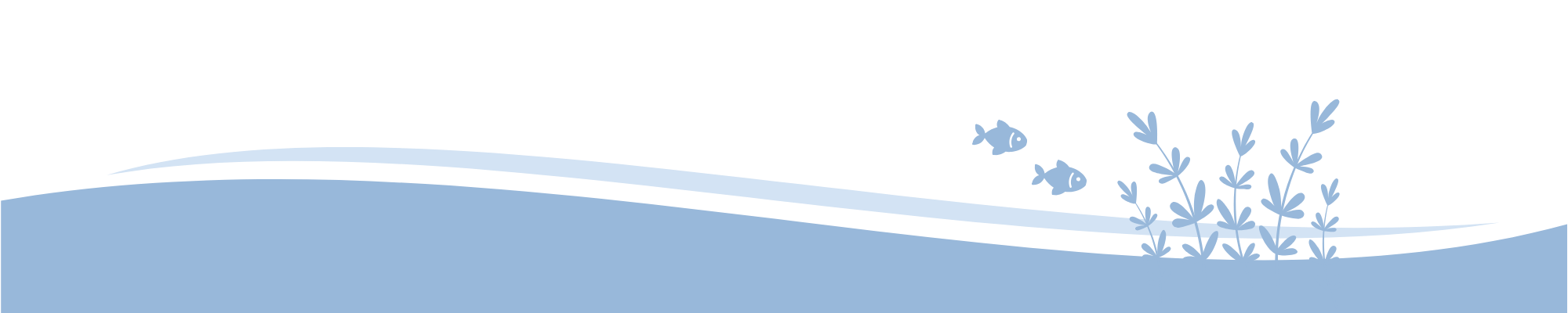 AVM Border (1)