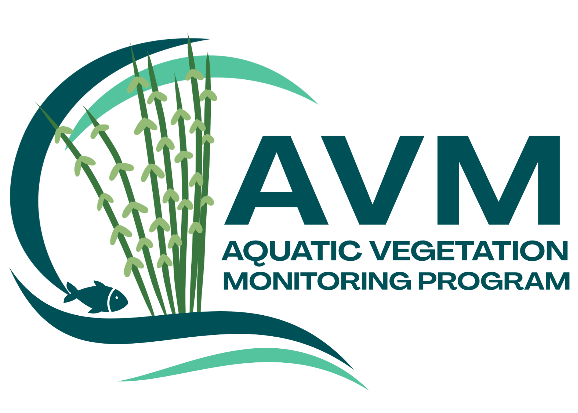 AVM Transparent