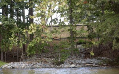 The Roanoke Times: Funding OK’d for sedimentation study at Smith Mountain Lake